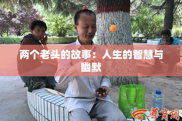 两个老头的故事：人生的智慧与幽默