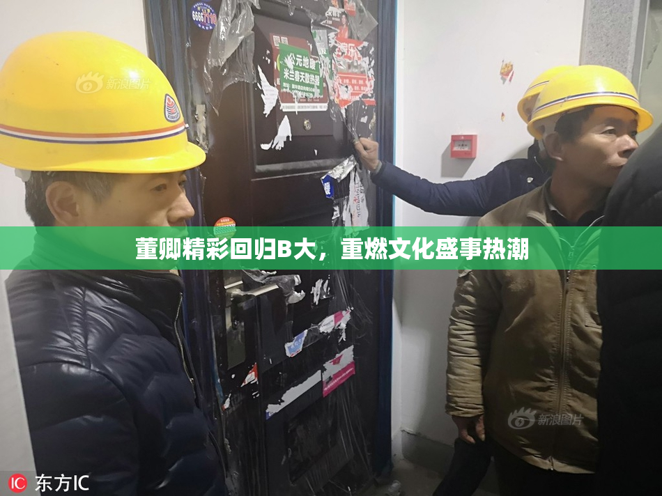 董卿精彩回归B大，重燃文化盛事热潮