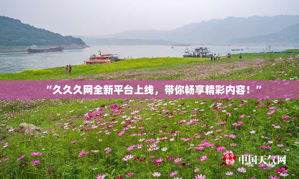 “久久久网全新平台上线，带你畅享精彩内容！”