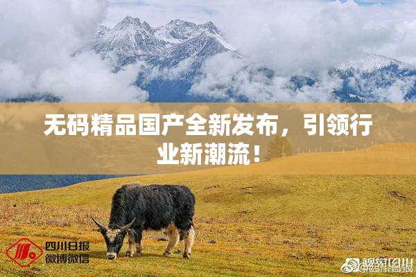 无码精品国产全新发布，引领行业新潮流！