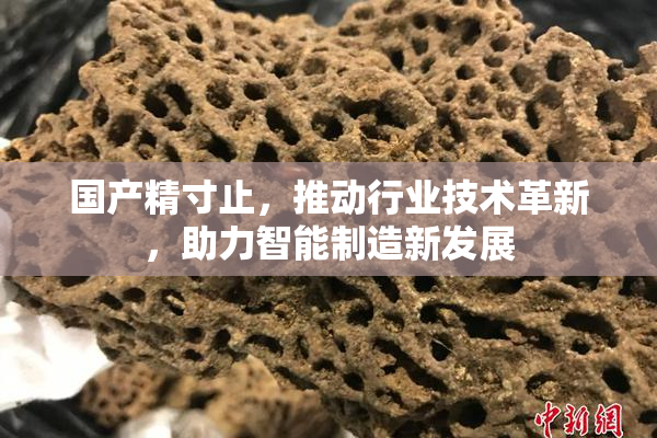 国产精寸止，推动行业技术革新，助力智能制造新发展