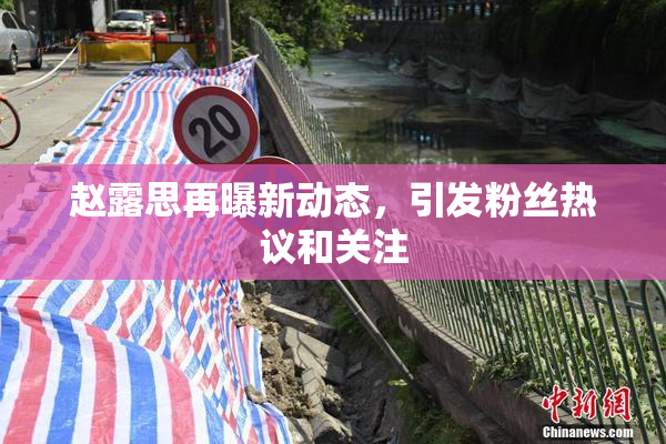 赵露思再曝新动态，引发粉丝热议和关注