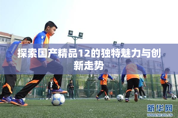 探索国产精品12的独特魅力与创新走势