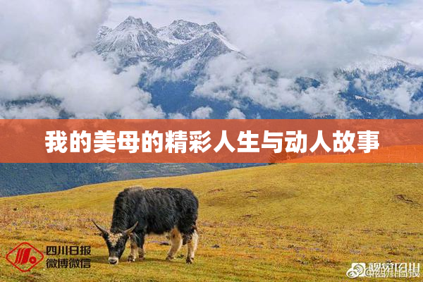 我的美母的精彩人生与动人故事