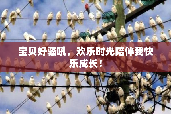 宝贝好骚吼，欢乐时光陪伴我快乐成长！