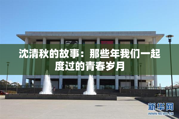 沈清秋的故事：那些年我们一起度过的青春岁月