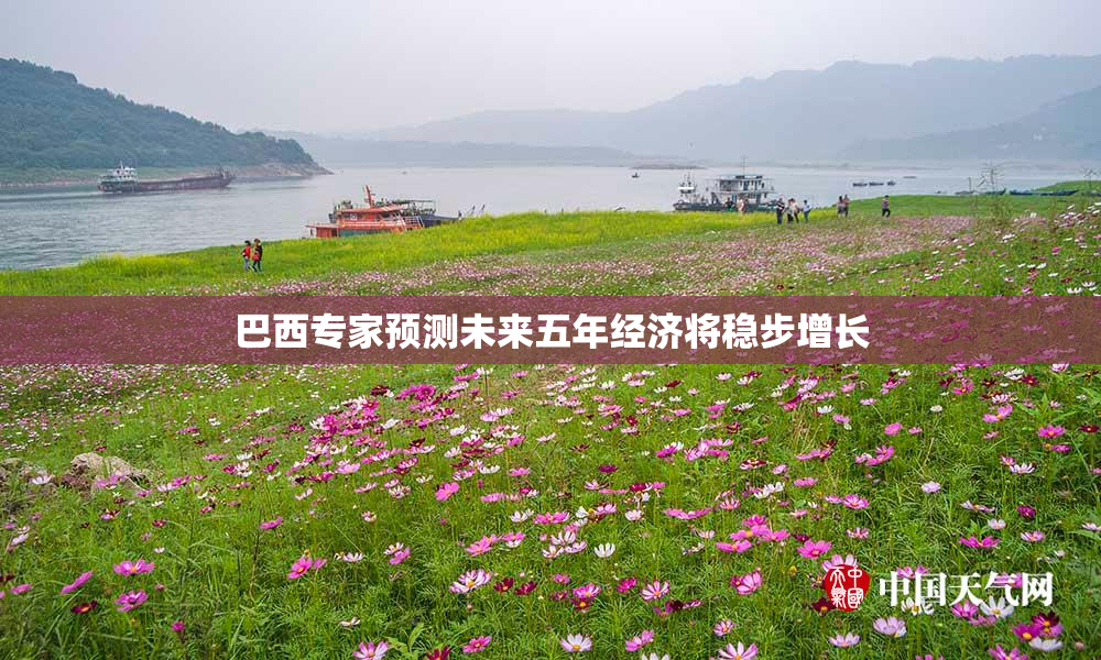巴西专家预测未来五年经济将稳步增长