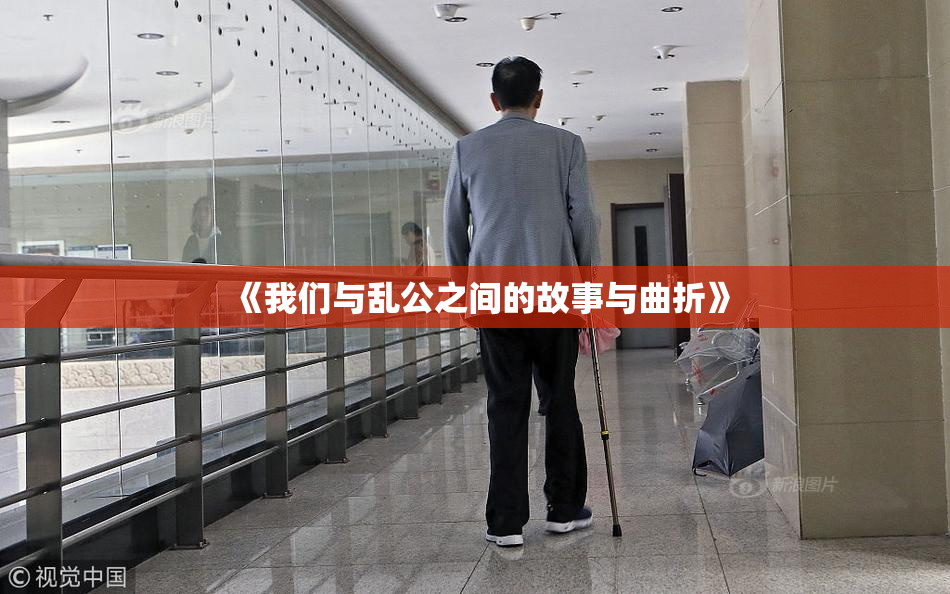 《我们与乱公之间的故事与曲折》