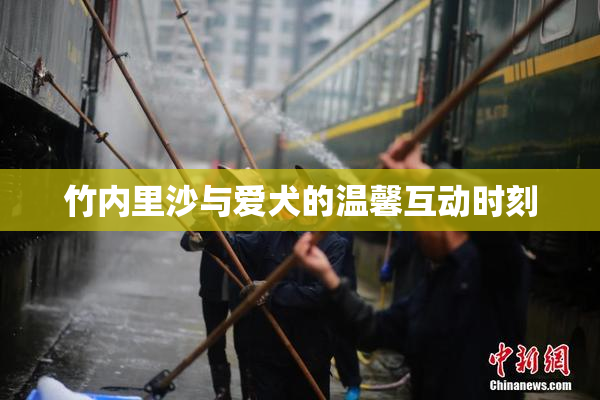 竹内里沙与爱犬的温馨互动时刻