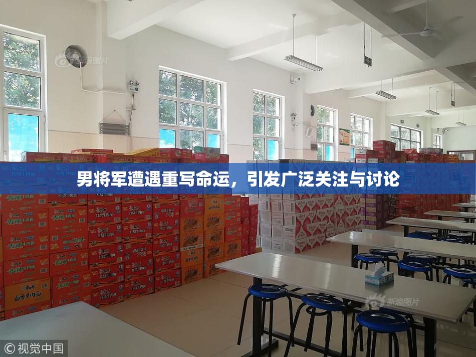 男将军遭遇重写命运，引发广泛关注与讨论