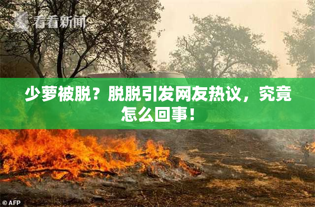 少萝被脱？脱脱引发网友热议，究竟怎么回事！