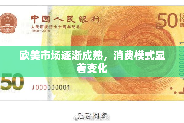 欧美市场逐渐成熟，消费模式显著变化
