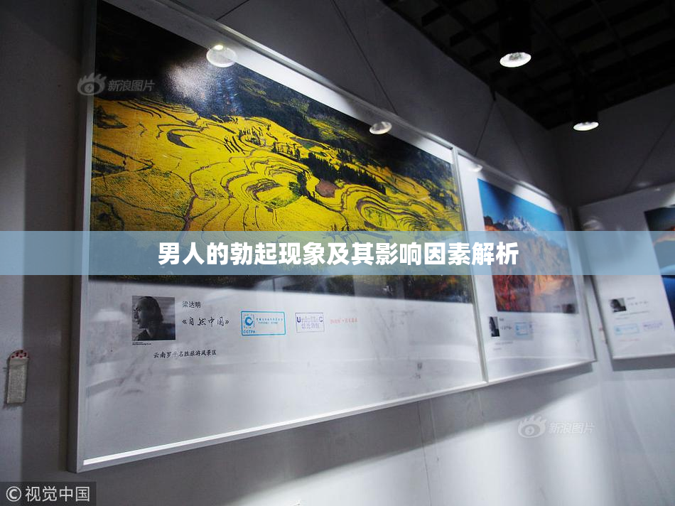 男人的勃起现象及其影响因素解析
