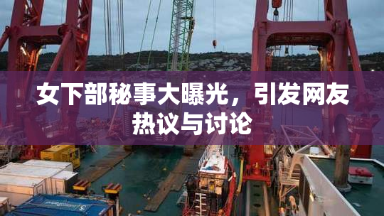 女下部秘事大曝光，引发网友热议与讨论