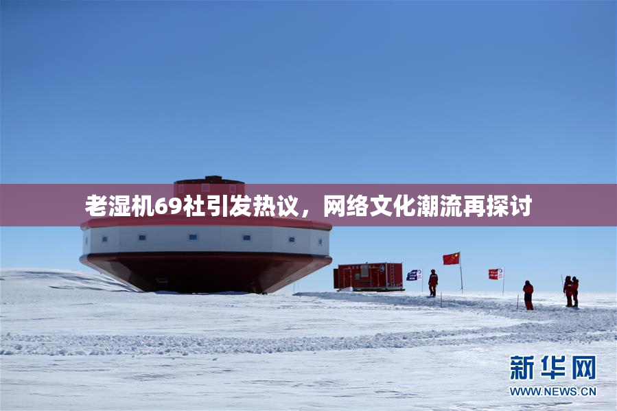 老湿机69社引发热议，网络文化潮流再探讨