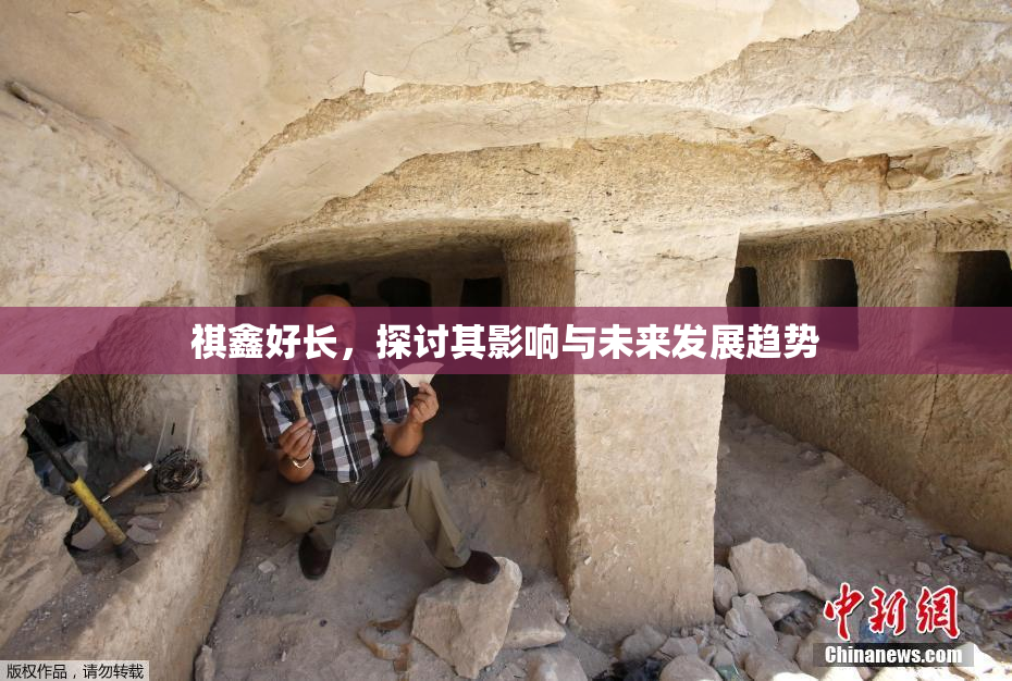 祺鑫好长，探讨其影响与未来发展趋势