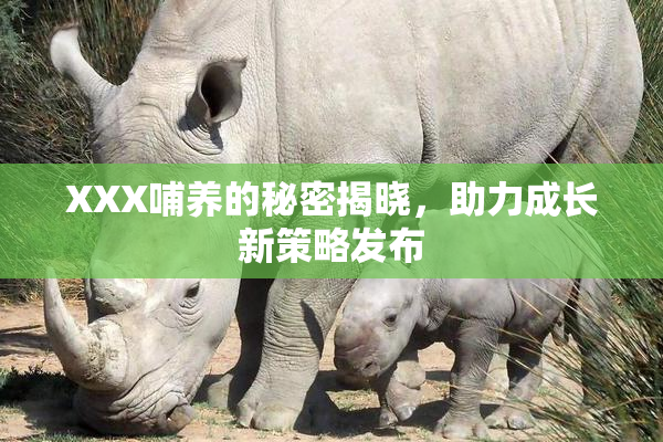 XXX哺养的秘密揭晓，助力成长新策略发布