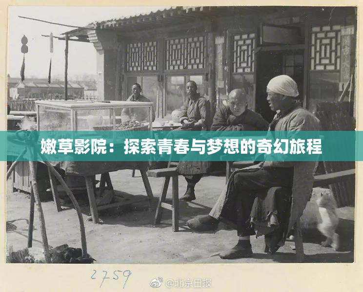 嫩草影院：探索青春与梦想的奇幻旅程