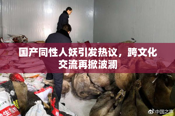 国产同性人妖引发热议，跨文化交流再掀波澜
