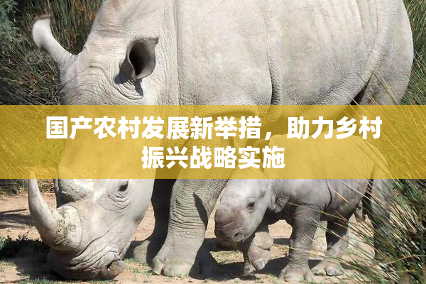 国产农村发展新举措，助力乡村振兴战略实施