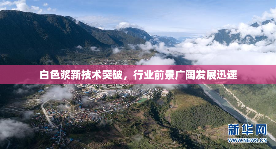 白色浆新技术突破，行业前景广阔发展迅速