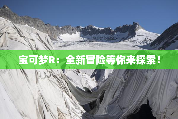 宝可梦R：全新冒险等你来探索！