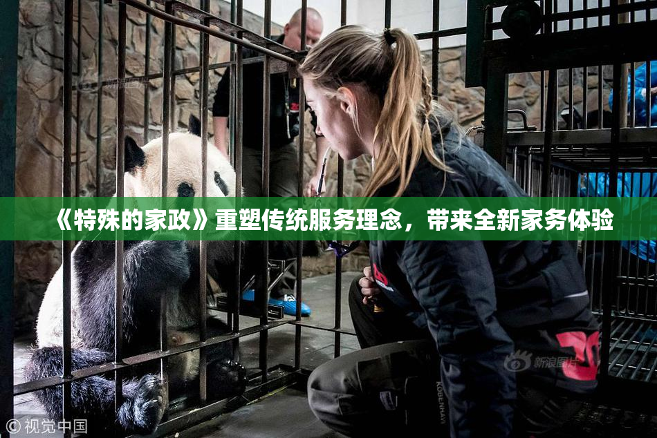 《特殊的家政》重塑传统服务理念，带来全新家务体验