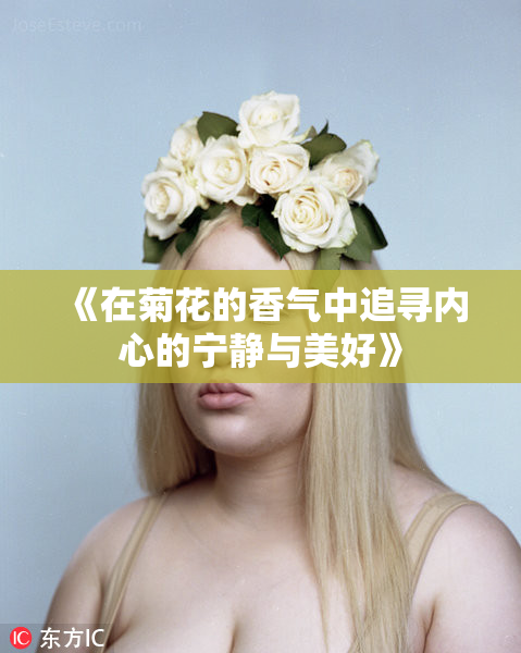 《在菊花的香气中追寻内心的宁静与美好》
