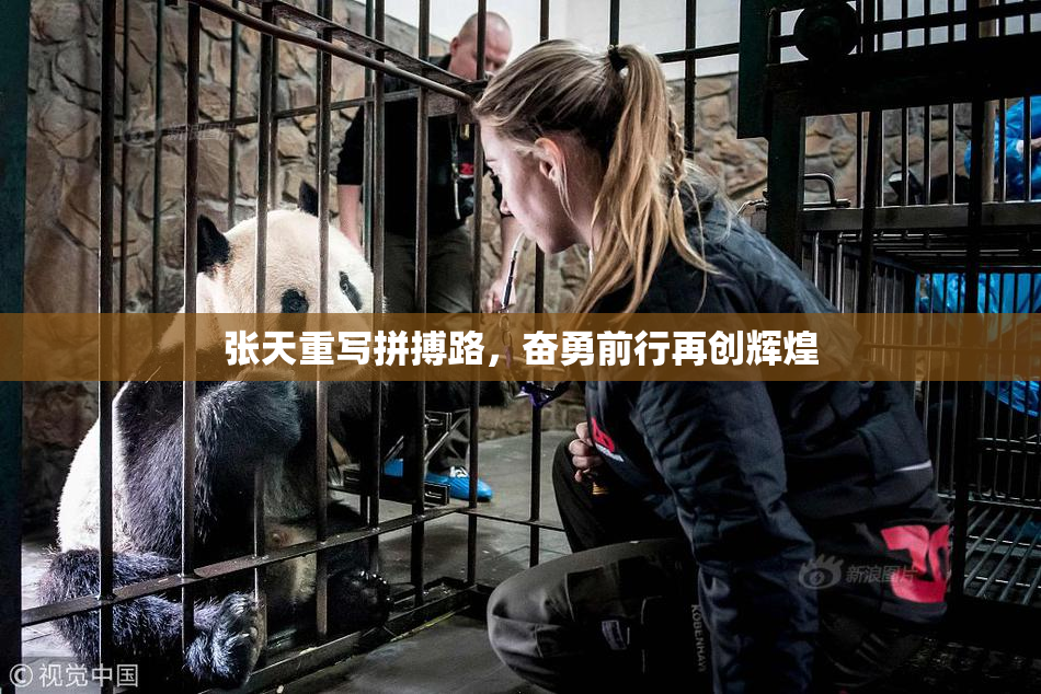 张天重写拼搏路，奋勇前行再创辉煌