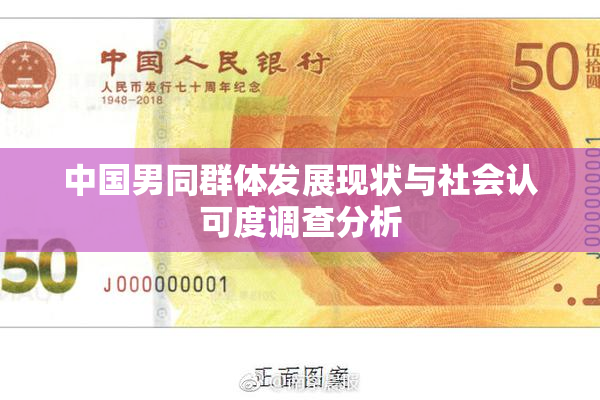 中国男同群体发展现状与社会认可度调查分析