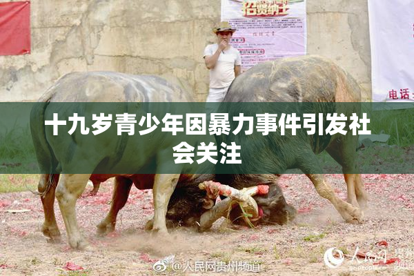 十九岁青少年因暴力事件引发社会关注