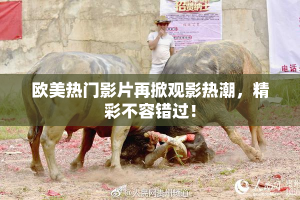 欧美热门影片再掀观影热潮，精彩不容错过！