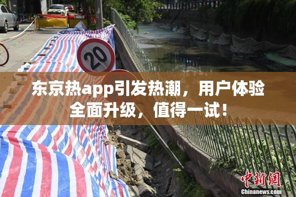 东京热app引发热潮，用户体验全面升级，值得一试！