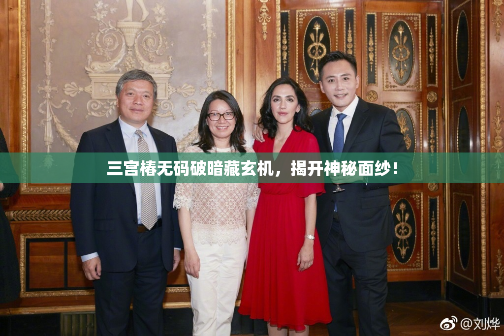 三宫椿无码破暗藏玄机，揭开神秘面纱！