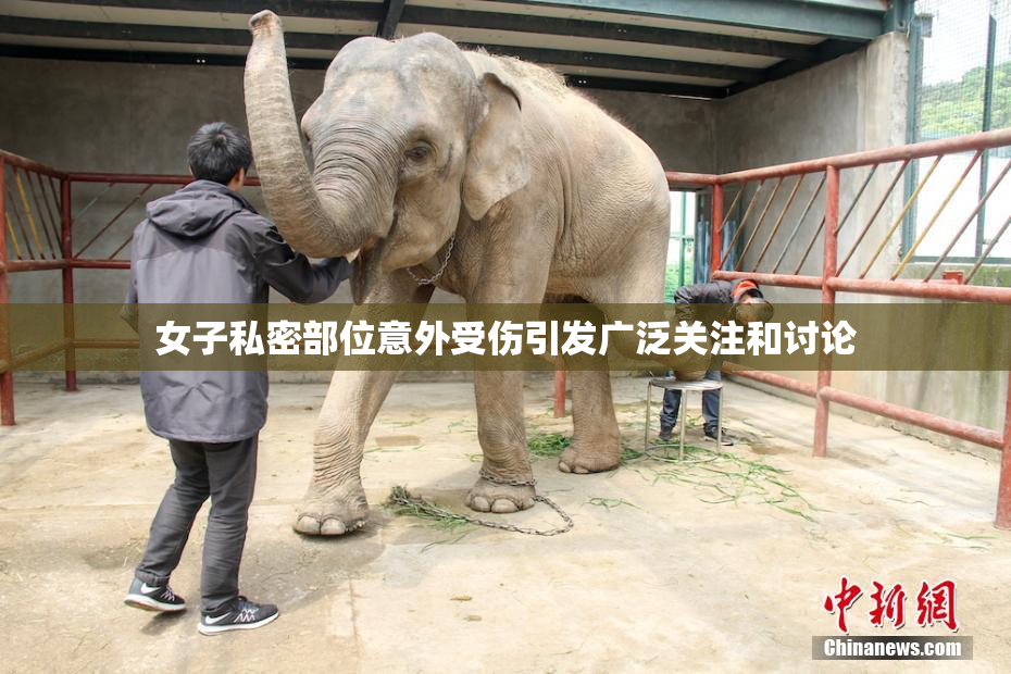 女子私密部位意外受伤引发广泛关注和讨论