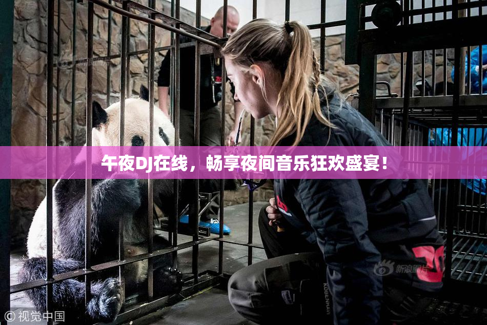 午夜DJ在线，畅享夜间音乐狂欢盛宴！