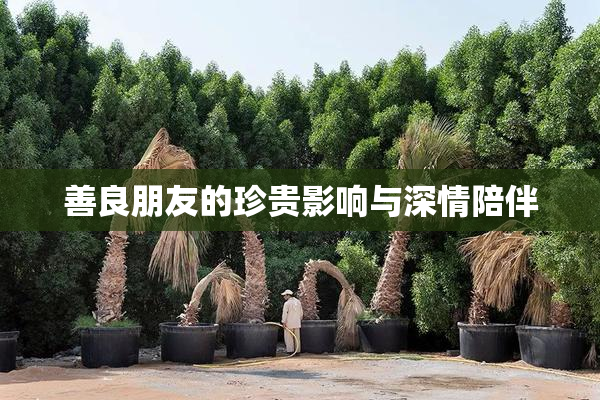 善良朋友的珍贵影响与深情陪伴