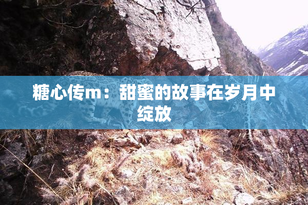 糖心传m：甜蜜的故事在岁月中绽放