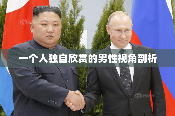 一个人独自欣赏的男性视角剖析