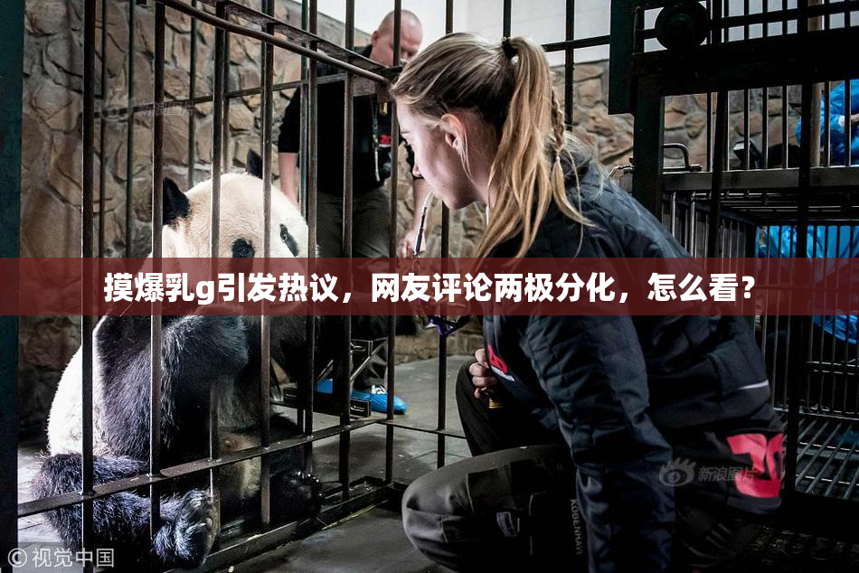 摸爆乳g引发热议，网友评论两极分化，怎么看？