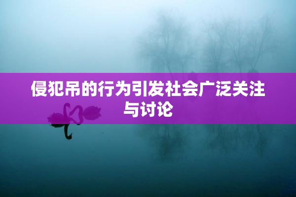 侵犯吊的行为引发社会广泛关注与讨论