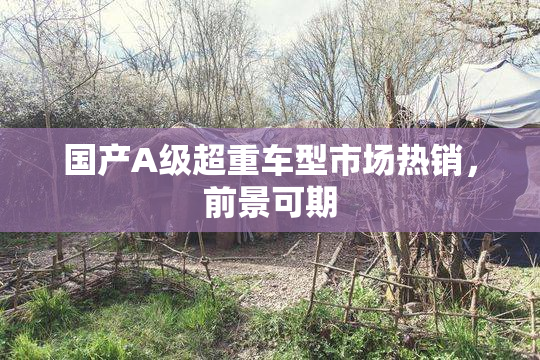 国产A级超重车型市场热销，前景可期
