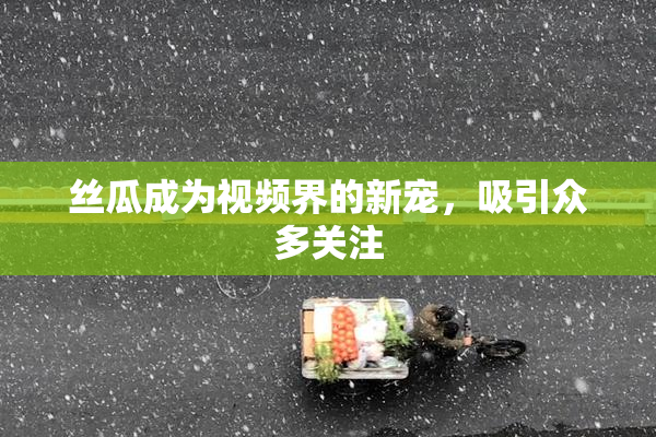 丝瓜成为视频界的新宠，吸引众多关注