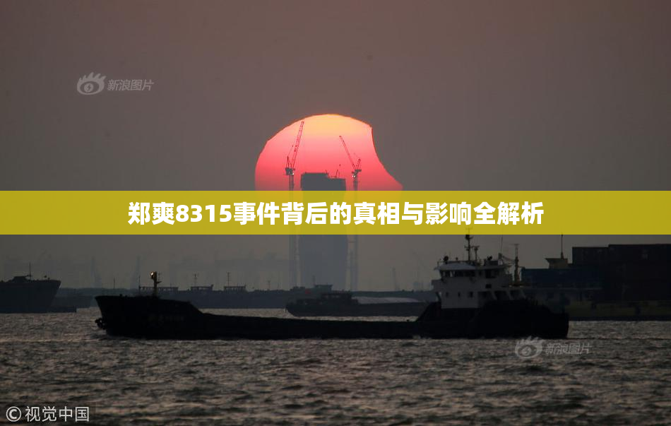 郑爽8315事件背后的真相与影响全解析