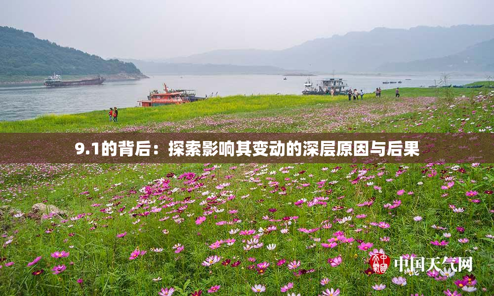 9.1的背后：探索影响其变动的深层原因与后果