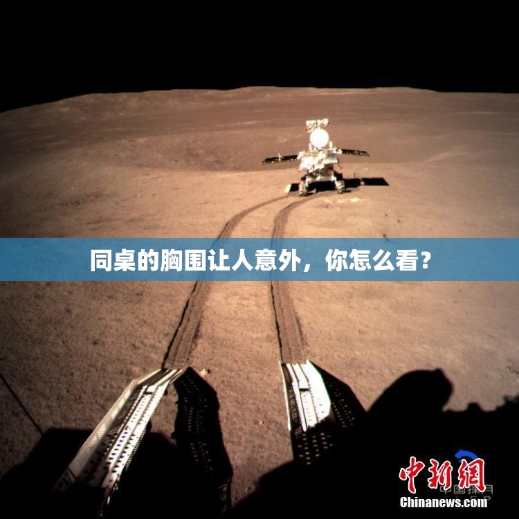 同桌的胸围让人意外，你怎么看？