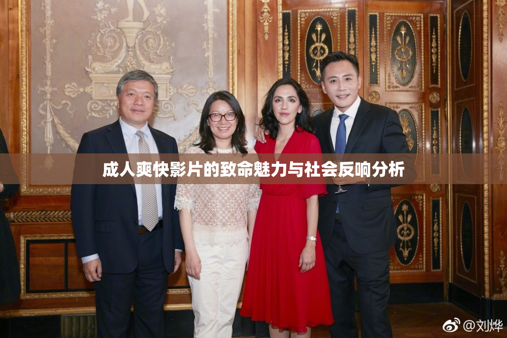成人爽快影片的致命魅力与社会反响分析