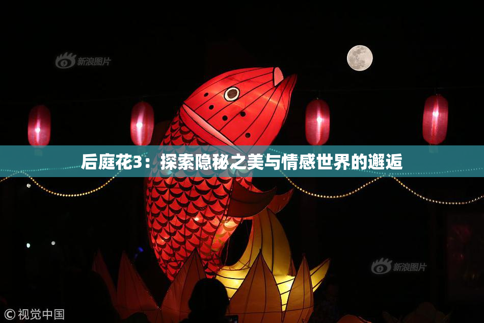 后庭花3：探索隐秘之美与情感世界的邂逅