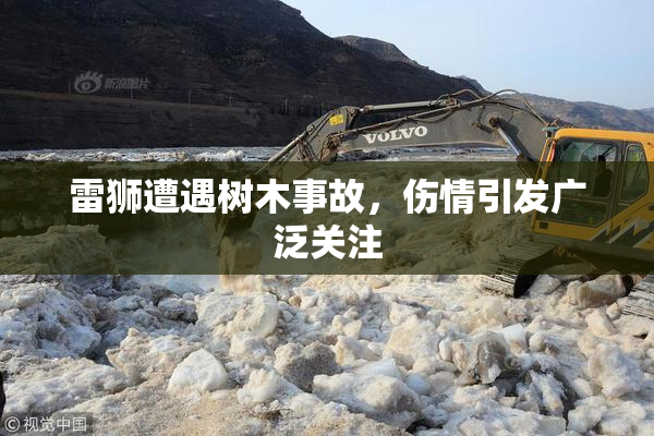 雷狮遭遇树木事故，伤情引发广泛关注