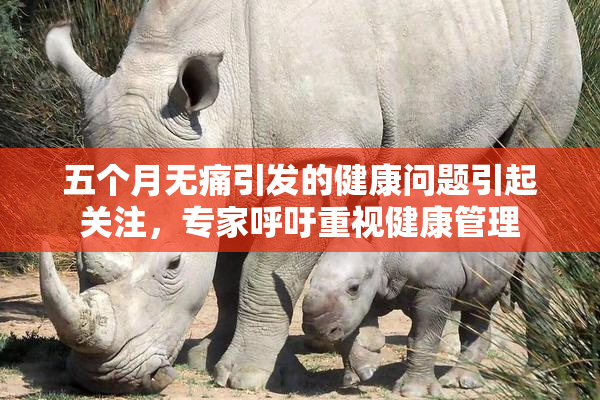 五个月无痛引发的健康问题引起关注，专家呼吁重视健康管理